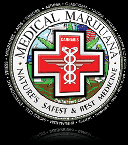 medical marijuana website design